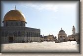 IMG_7667