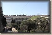 IMG_7678