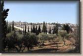 IMG_7679