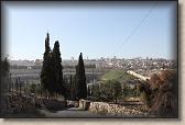 IMG_7680