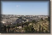 IMG_7681