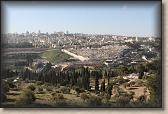 IMG_7682