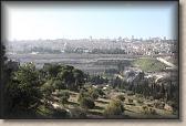 IMG_7683