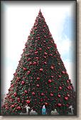 IMG_6507