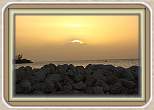 IMG_3726