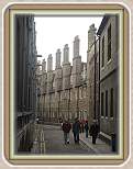 IMG_1117