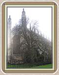 IMG_1131