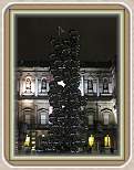 IMG_1206