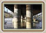 IMG_5849