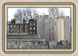 IMG_5976