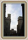 IMG_6025