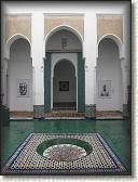 IMG_2241