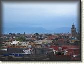 IMG_2266