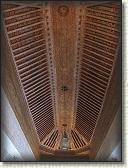 IMG_2317