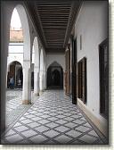 IMG_2329