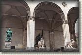 IMG_7847