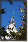 IMG_8311