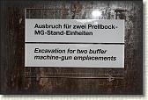 IMG_8739