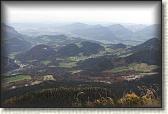 IMG_8881