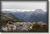 IMG_8907
