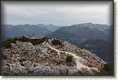 IMG_8911