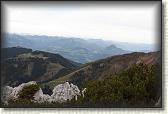 IMG_8916
