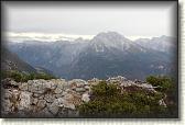 IMG_8917