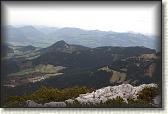 IMG_8924