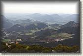 IMG_8931