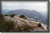 IMG_8941