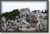 IMG_8947