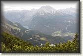 IMG_8950