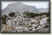 IMG_8951