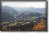 IMG_8979