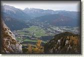 IMG_8981