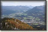IMG_8982