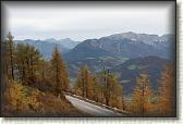 IMG_8989