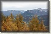 IMG_8994