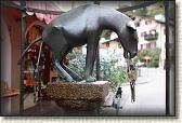 IMG_9050