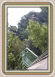 IMG_28451