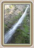 IMG_32971
