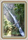 IMG_33191