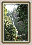 IMG_33331