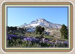 IMG_33941
