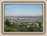 IMG_0422