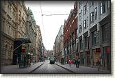 DSC04974