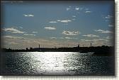 DSC05449
