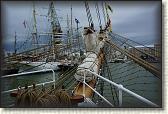 DSC05857