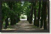 DSC06140