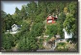 DSC06271